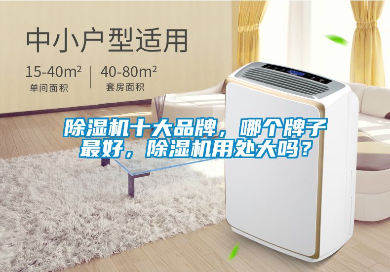 除濕機十大品牌，哪個牌子最好，除濕機用處大嗎？
