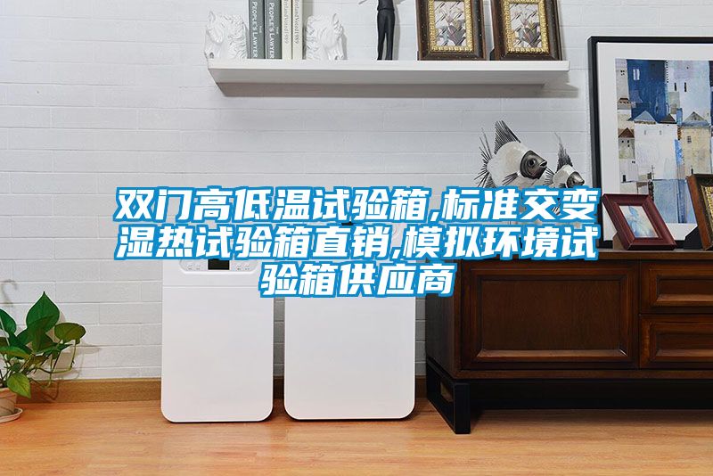 雙門高低溫試驗箱,標(biāo)準(zhǔn)交變濕熱試驗箱直銷,模擬環(huán)境試驗箱供應(yīng)商