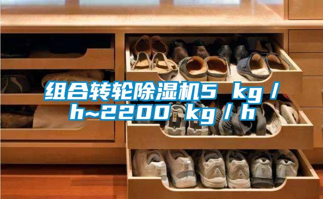 組合轉輪除濕機5 kg/h~2200 kg/h