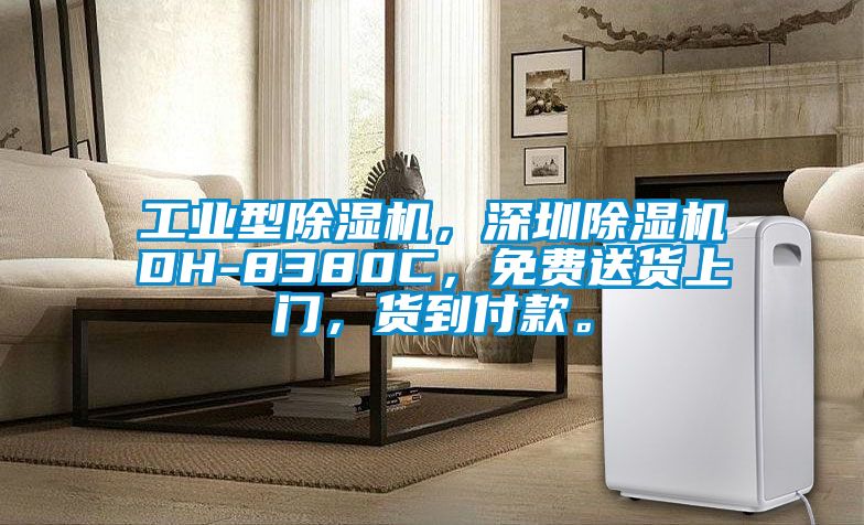 工業型除濕機，深圳除濕機DH-8380C，免費送貨上門，貨到付款。