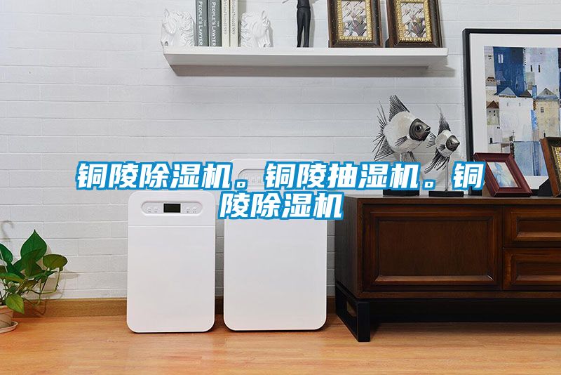 銅陵除濕機。銅陵抽濕機。銅陵除濕機