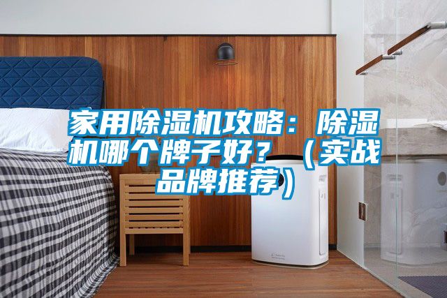 家用除濕機攻略：除濕機哪個牌子好？（實戰(zhàn)品牌推薦）