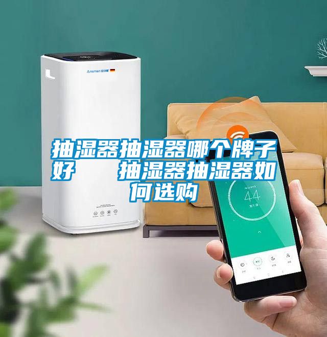抽濕器抽濕器哪個(gè)牌子好   抽濕器抽濕器如何選購