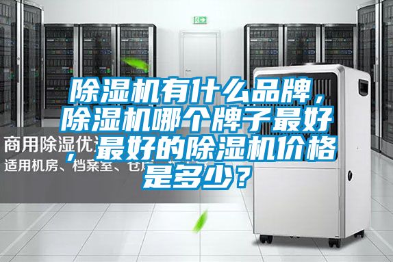 除濕機有什么品牌,除濕機哪個牌子最好,最好的除濕機價格是多少?