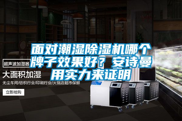 面對(duì)潮濕除濕機(jī)哪個(gè)牌子效果好?安詩(shī)曼用實(shí)力來(lái)證明