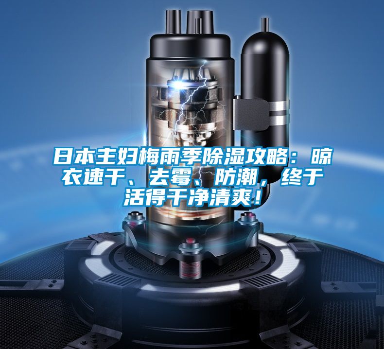 日本主婦梅雨季除濕攻略:晾衣速干、去霉、防潮,終于活得干凈清爽!