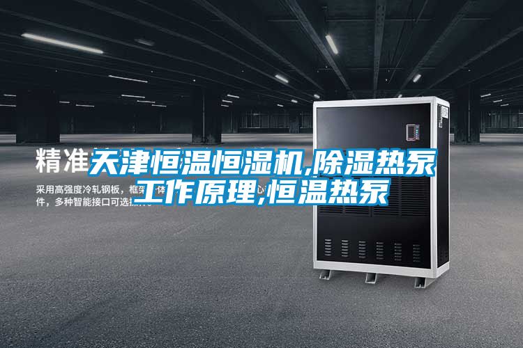 天津恒溫恒濕機,除濕熱泵工作原理,恒溫?zé)岜?/></p>
						    <p style=