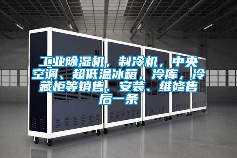 工業(yè)除濕機(jī)，制冷機(jī)，中央空調(diào)、超低溫冰箱，冷庫(kù)，冷藏柜等銷售、安裝、維修售后一條