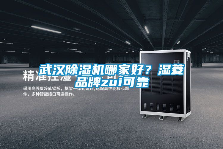 武漢除濕機(jī)哪家好?濕菱品牌zui可靠