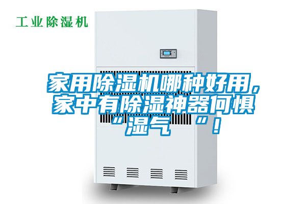 家用除濕機哪種好用，家中有除濕神器何懼 “濕氣 “！