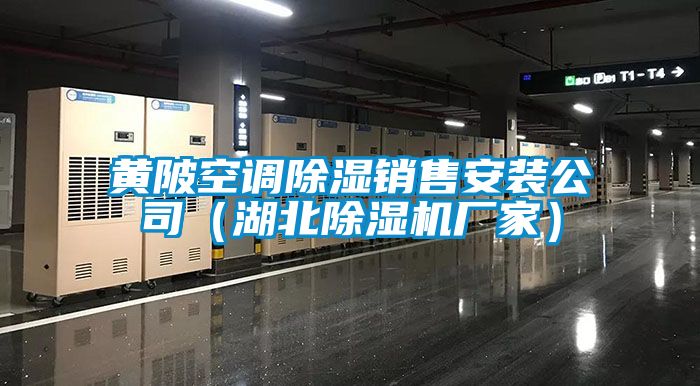 黃陂空調(diào)除濕銷售安裝公司(湖北除濕機廠家)