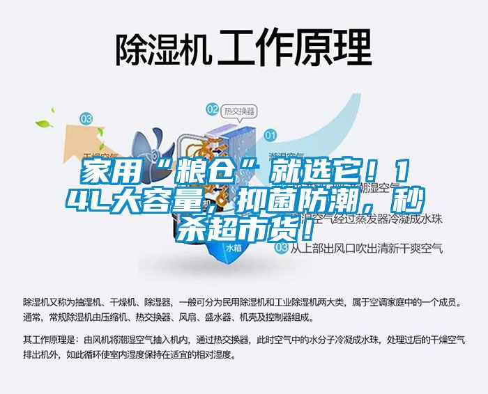 家用“糧倉”就選它！14L大容量，抑菌防潮，秒殺超市貨！