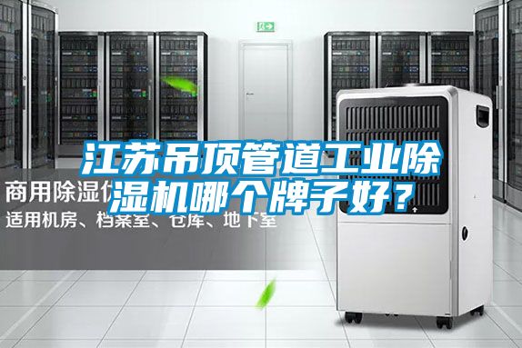 江蘇吊頂管道工業(yè)除濕機(jī)哪個牌子好？