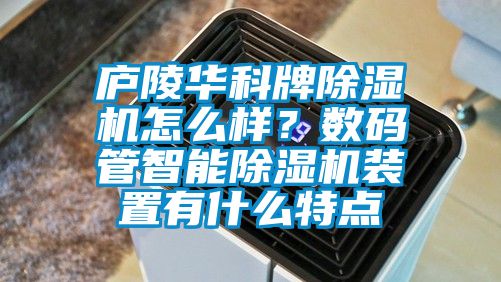 廬陵華科牌除濕機怎么樣？數碼管智能除濕機裝置有什么特點