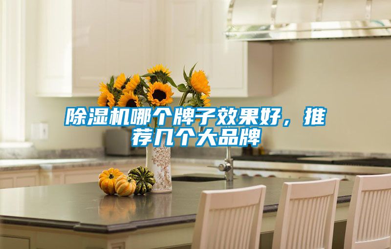 除濕機哪個牌子效果好，推薦幾個大品牌